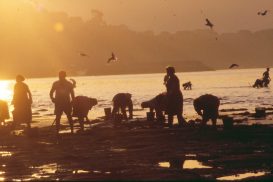 Reportaje de Mariscadoras al amanecer, por Ana Portnoy
